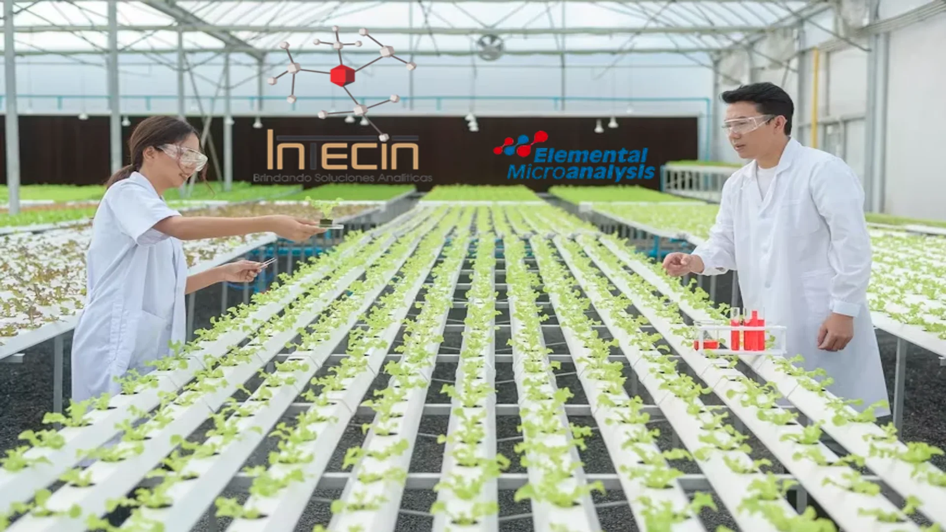 agricultura intecin mexico