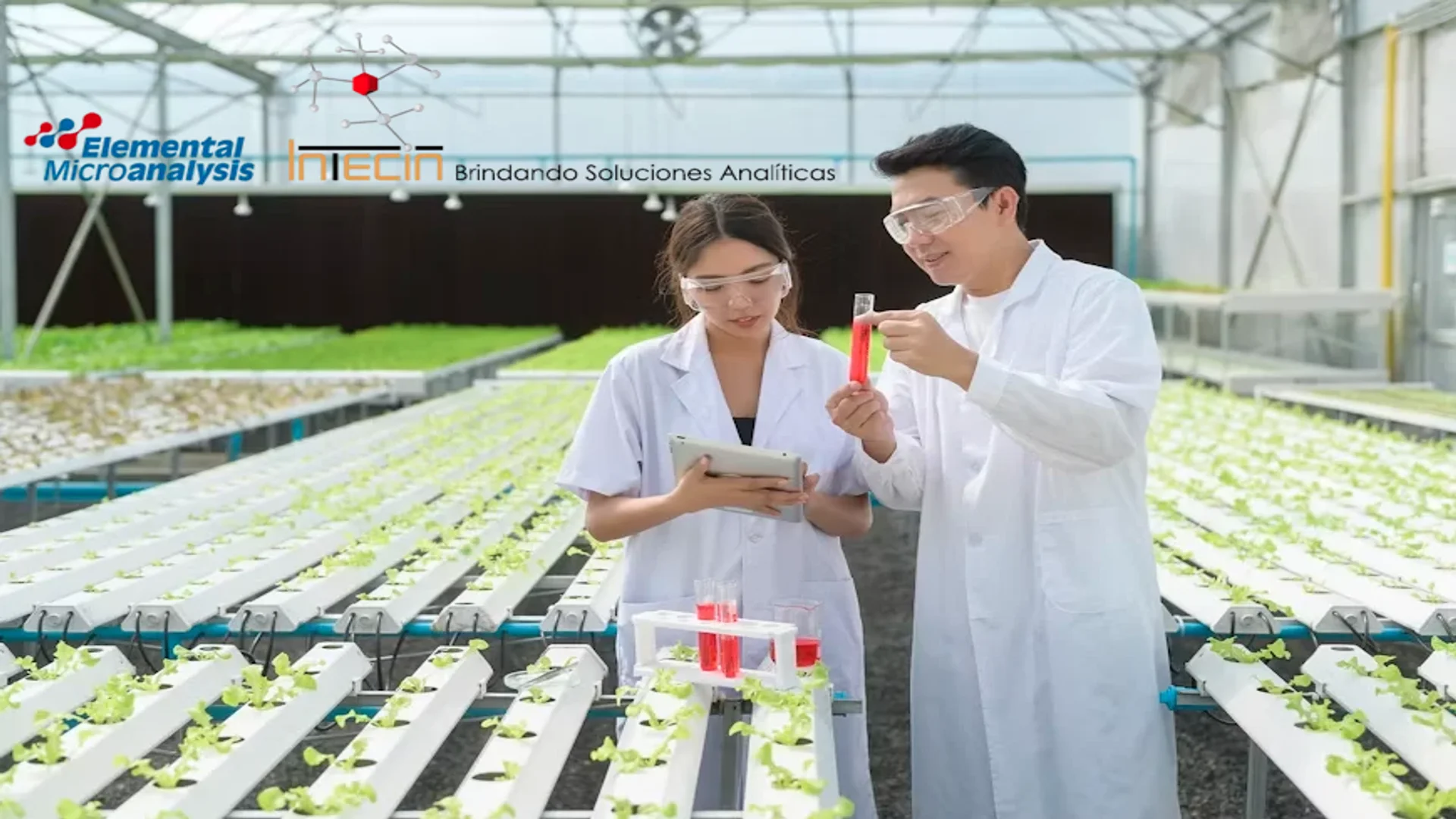 agricultura intecin mexico